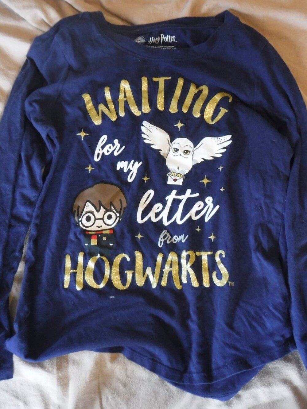 Wizarding World Harry Potter Girls Size XL Long Sleeve Shirt Blue